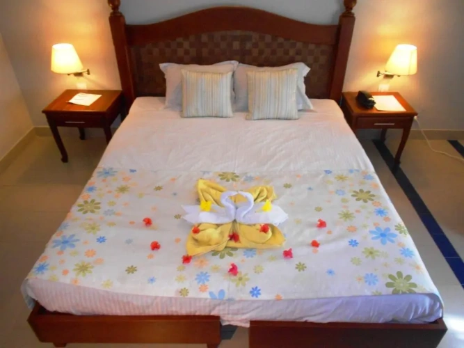 Standard Double room with balcony and with view