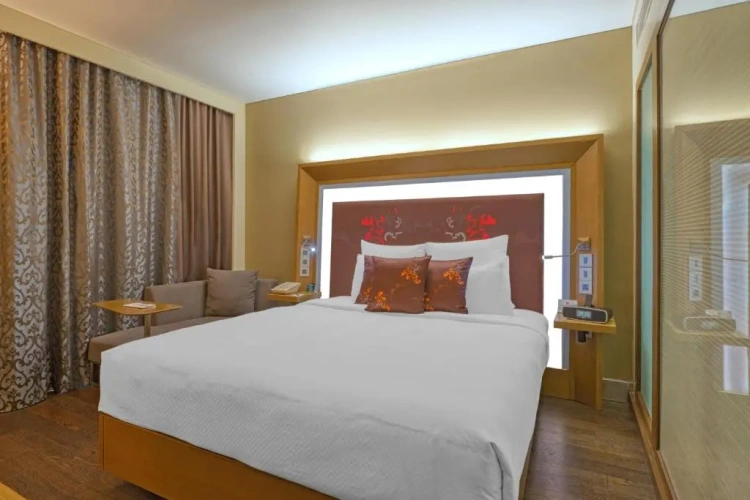 Executive Double Suite