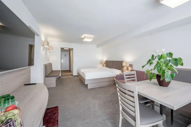 Standard Double room with balcony and with mountain view