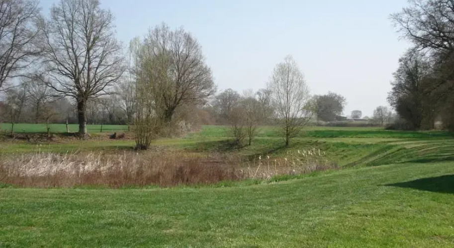 Le Mortier