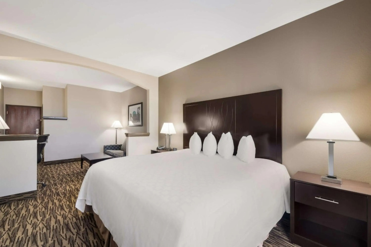 Comfort Suites Plano East - Richardson
