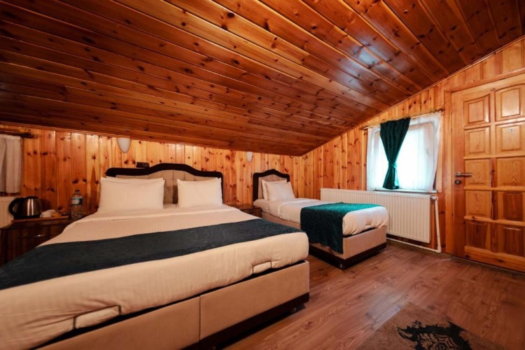 Double Chalet with balcony and with mountain view