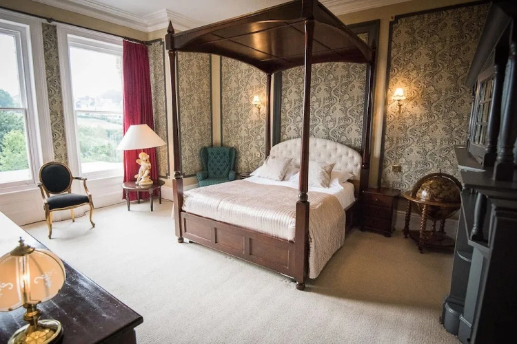 The Elmfield