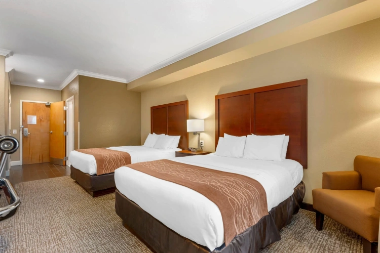 Standard Quadruple room