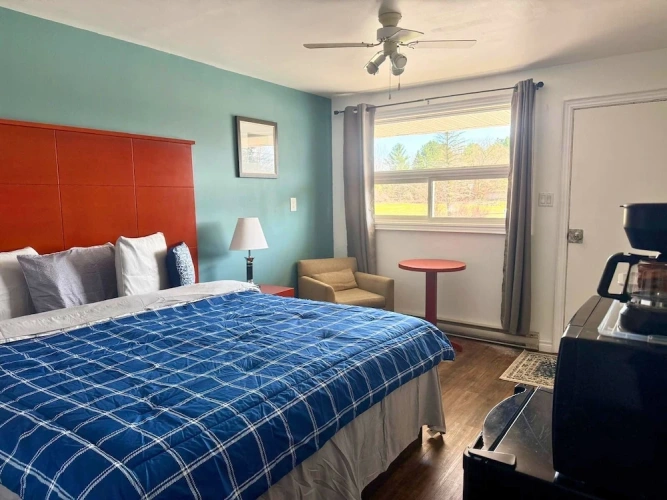 Deluxe Double room with garden view