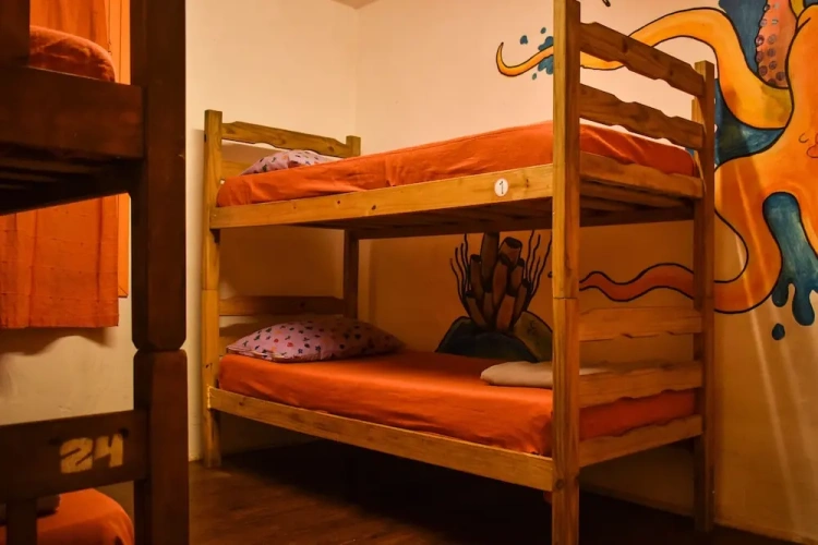 Bed in Dorm