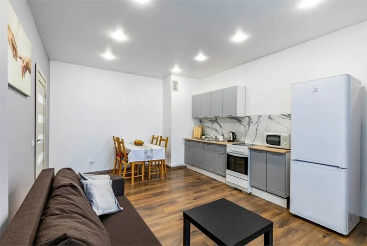 Фотография номера квартиры Rent House (Рент Хаус) на Радищева 61
