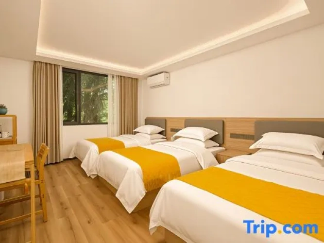 Standard Triple room with mountain view