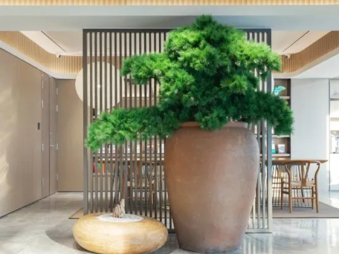 Hotel rooms