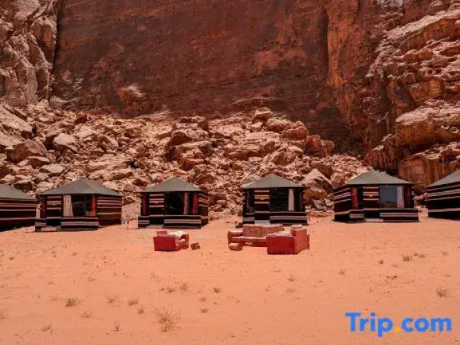 WhyDesert Camp & Jeep Tours