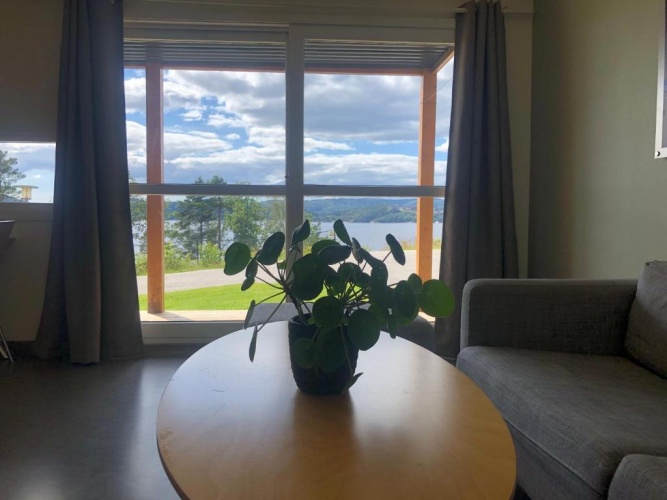 2 Bedrooms Single Apartment