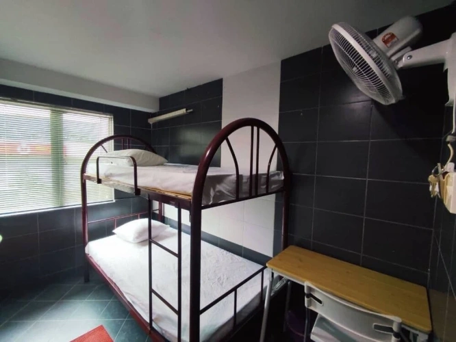Bed in Dorm
