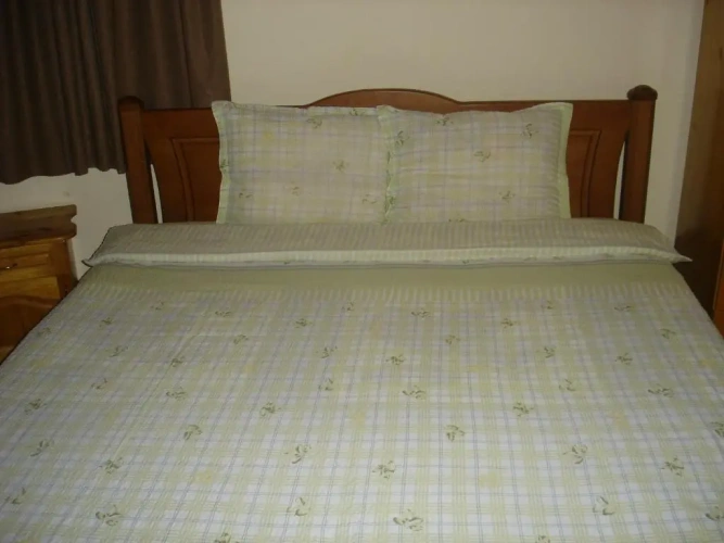 Standard Double room with view