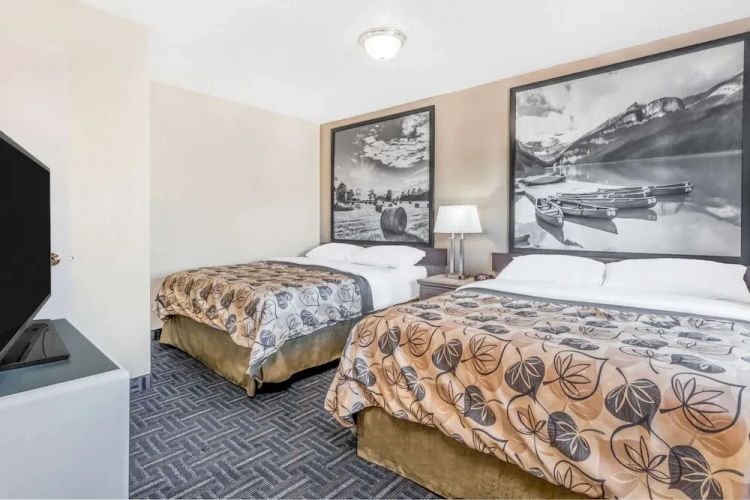 1 Bedroom Suite