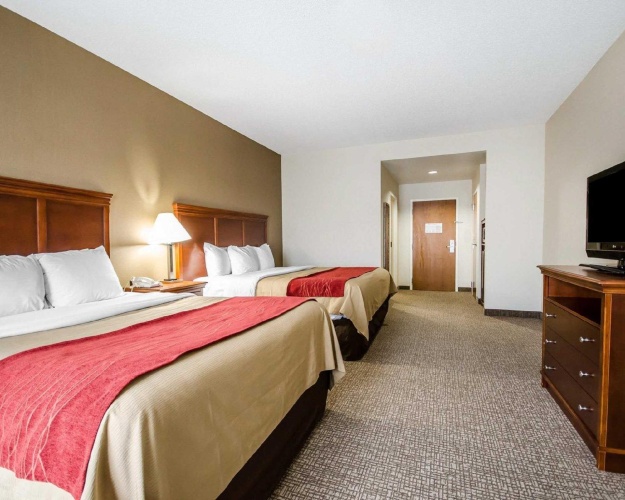 Standard Quadruple room