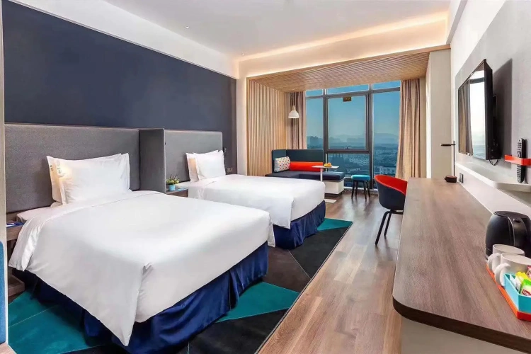 Standard Twin room with city view