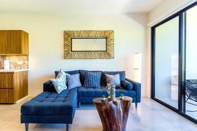 Agaves 204