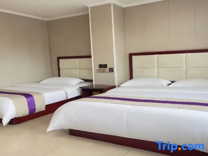 Comfort Suite