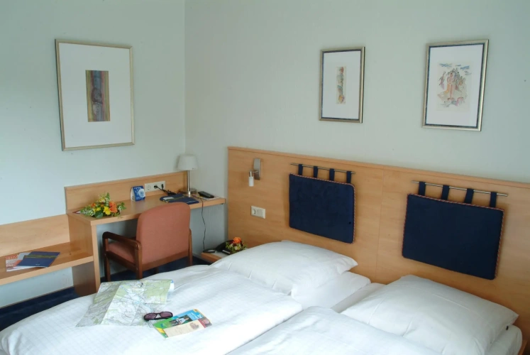Comfort Single room
