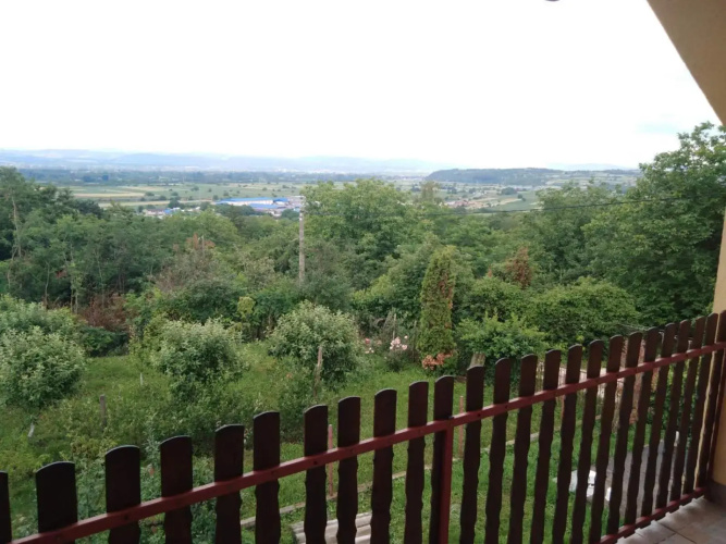 Dedinje
