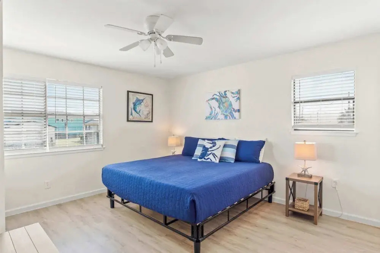 Tranquil Turquoise: Pet Friendly