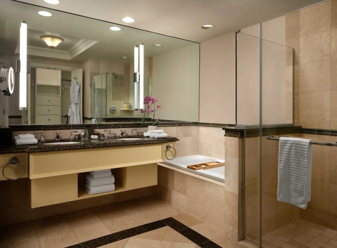 Double Junior Suite with balcony and with ocean view