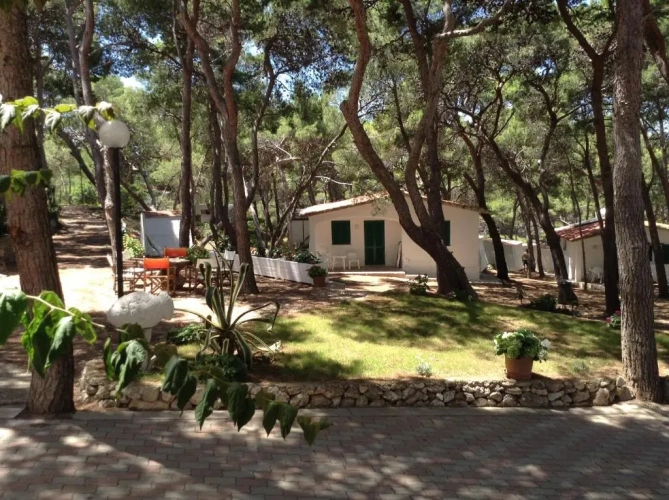 Double Bungalow