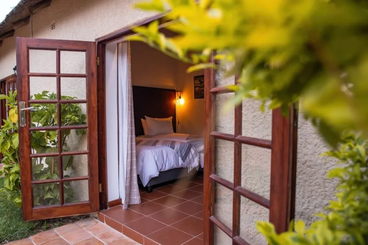 Standard Twin room with pool view