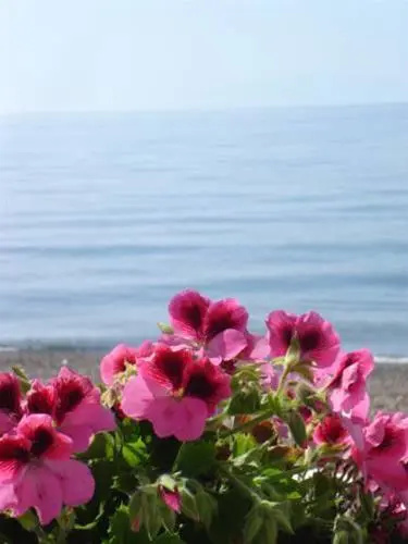 Vatera Beach Hotel