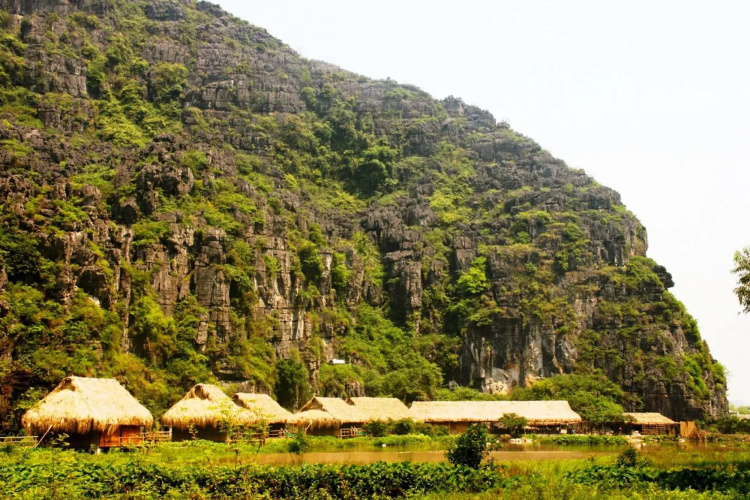 Nguyen Shack Ninh Binh