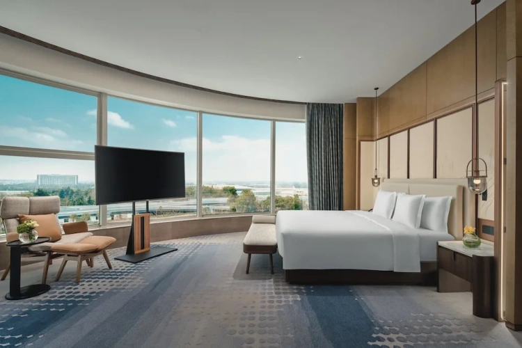 1 Bedroom Suite
