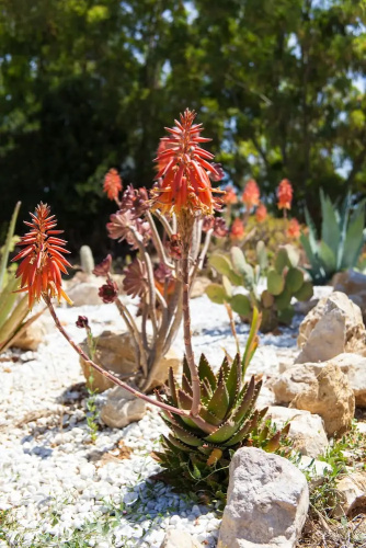 Villa Arzilla Country House Sardegna