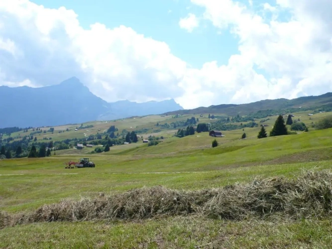 3 Bedrooms Apartment with mountain view