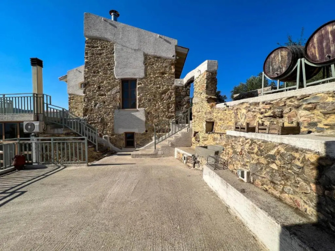 The Stone House