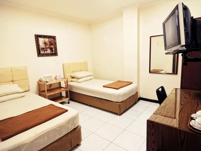 Deluxe Double room with view