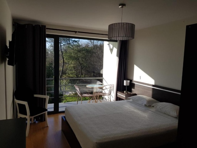Deluxe room with balcony and with view