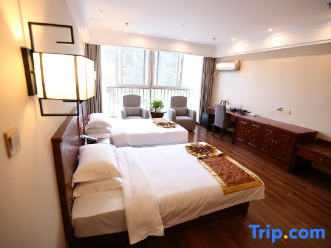 Deluxe Twin room with mountain view