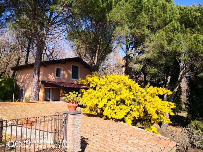 Double Villa with garden view