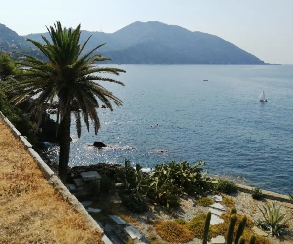 Il Grecale