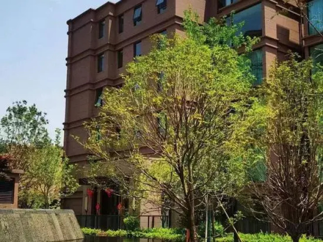 Xingxiu Inn