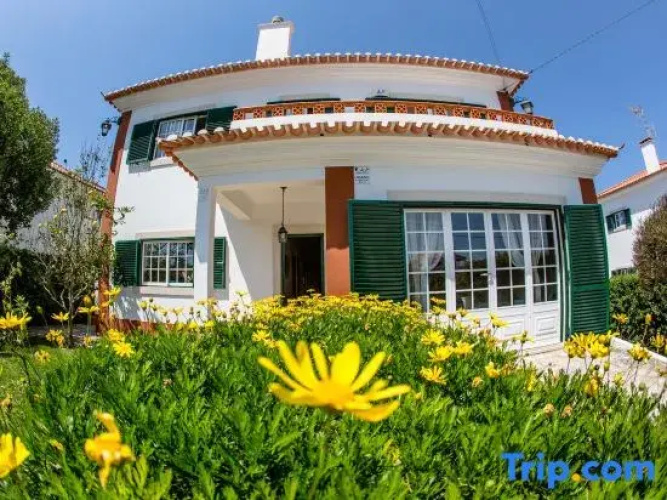 Liv In by Ericeira Property