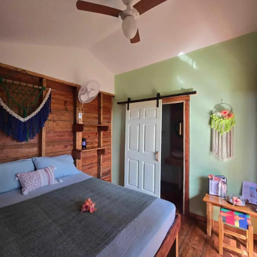 Green House Hostel