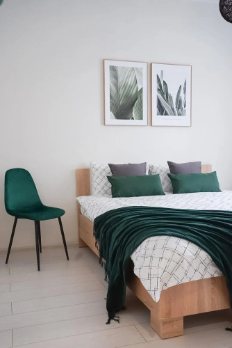 Фотография номера квартиры Апартаменты в Туристическом Центре Калининграда (С Видом На Ботанический Сад)