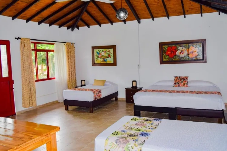 Standard Double room with view