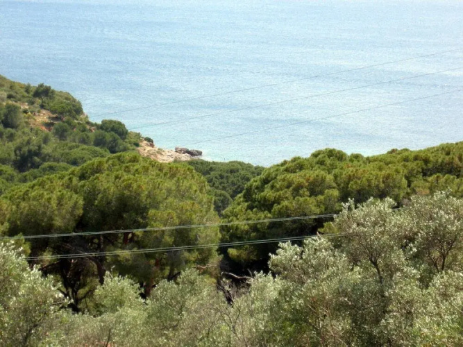 Villa Bartolini