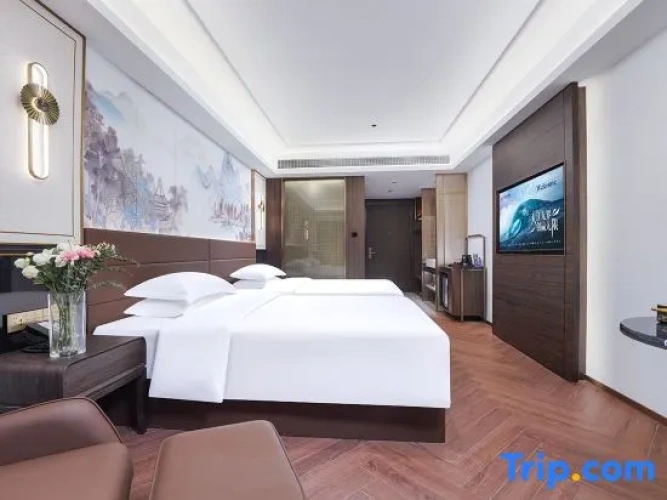 Executive Twin room with city view