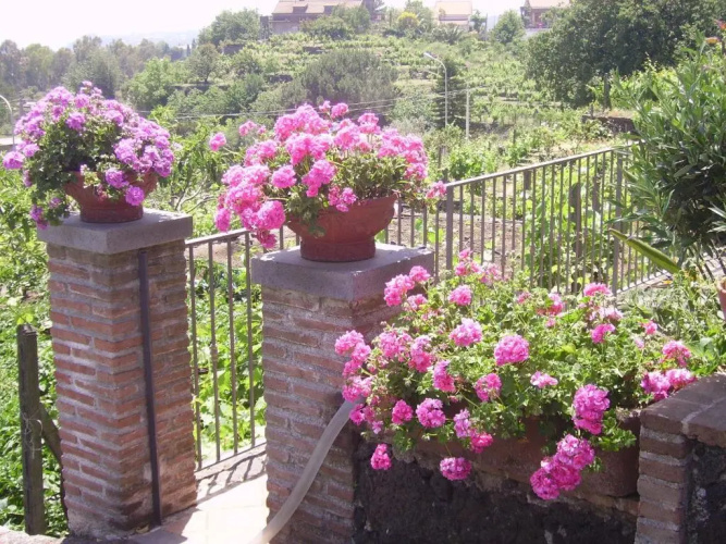 B&B Villa Dagala