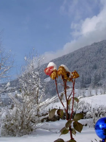 Haus Tirol