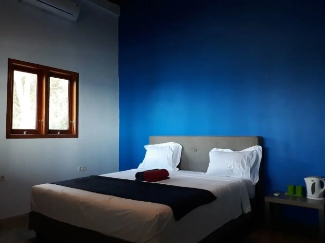 Deluxe Double room beachfront