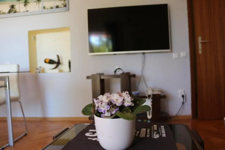 Max apartment